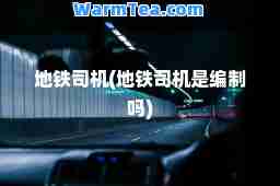 地铁司机(地铁司机是编制吗)
