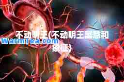 不动明王(不动明王寓意和象征)