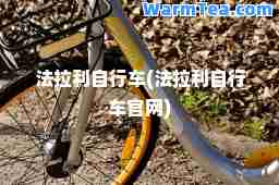 法拉利自行车(法拉利自行车官网)