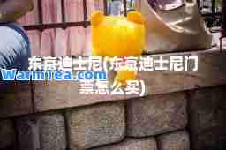 东京迪士尼(东京迪士尼门票怎么买)