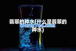 翡翠的种水(什么是翡翠的种水)