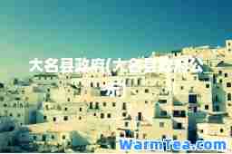 大名县政府(大名县政府公示)