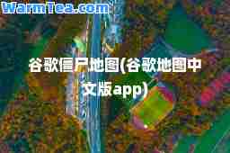 谷歌僵尸地图(谷歌地图中文版app)