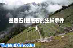 叠层石(叠层石的生长条件)