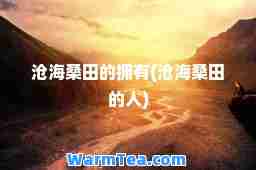 沧海桑田的拥有(沧海桑田的人)