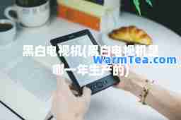 黑白电视机(黑白电视机是哪一年生产的)