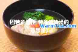 固若金汤(固若金汤的汤的意思是)