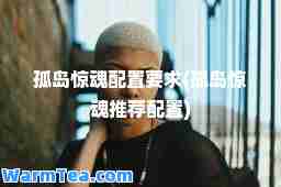 孤岛惊魂配置要求(孤岛惊魂配置)