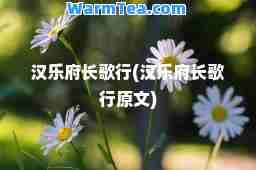汉乐府长歌行(汉乐府长歌行原文)