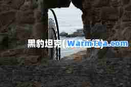 黑豹坦克(虎式重坦)