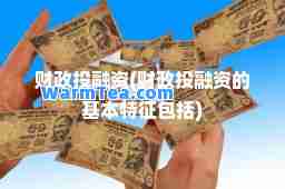 财政投融资(财政投融资的基本特征包括)