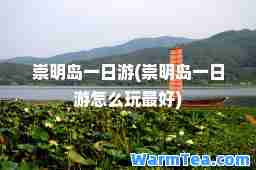 崇明岛一日游(崇明岛一日游怎么玩最好)