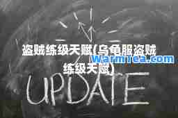 盗贼练级天赋(乌龟服盗贼练级天赋)