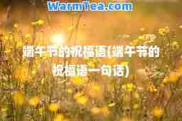 端午节的祝福语(端午节的祝福语一句话)