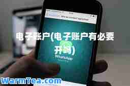 电子账户(电子账户有必要开吗)