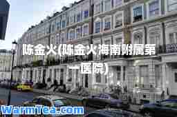 陈金火(陈金火海南附属医院)