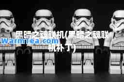 黑暗之魂联机(黑暗之魂联机补丁)