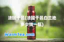 法国干邑(法国干邑白兰地多少钱一瓶)