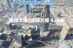 迪拜大楼(迪拜大楼 828米)