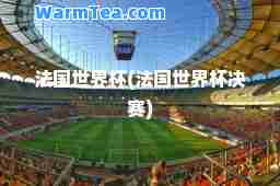 法国世界杯(法国世界杯决赛)