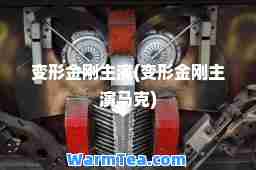 变形金刚主演(变形金刚主演马克)