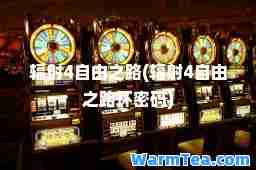 辐射4自由之路(辐射4自由之路环密码)
