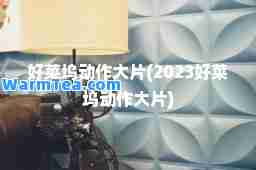 好莱坞动作大片(2023好莱坞动作大片)