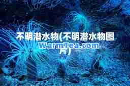 不明潜水物(不明潜水物图片)