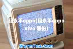 段永平oppo(段永平oppovivo 股份)