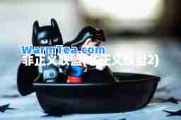 非正义联盟(非正义联盟2)