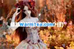傣族服装(傣族服装介绍)