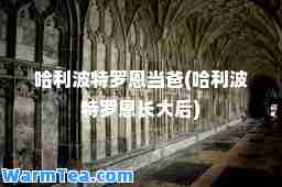 哈利波特罗恩当爸(哈利波特罗恩长大后)