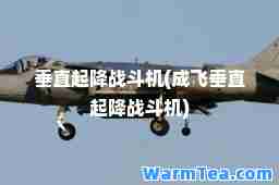 垂直起降战斗机(成飞垂直起降战斗机)