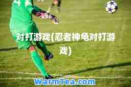 对打游戏(忍者龟对打游戏)