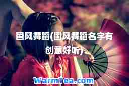 国风舞蹈(国风舞蹈名字有创意好听)