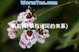 茶与诗(茶与诗词的关系)