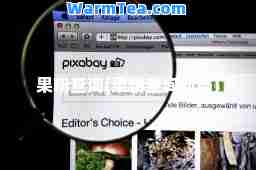 果粉查询(果粉查询网站)