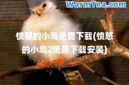愤怒的小鸟免费下载(愤怒的小鸟2免费下载安装)