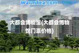 大都会博物馆(大都会博物馆门票价格)