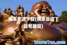 佛本是道下载(佛本是道下载笔趣阁)