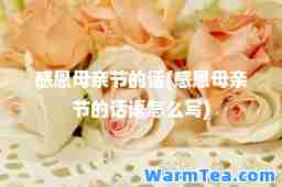 感恩母亲节的话(感恩母亲节的话语怎么写)