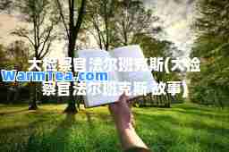 大检察官法尔班克斯(大检察官法尔班克斯 故事)