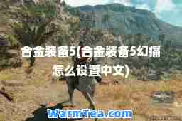 金装备5(金装备5幻痛怎么设置中文)