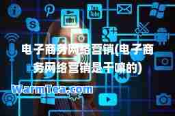 电子商务网络营销(电子商务网络营销是干嘛的)