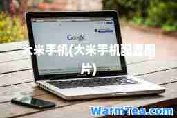 大米手机(大米手机配置图片)