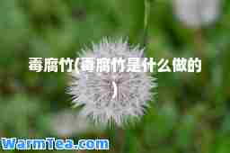 毒腐竹(毒腐竹是什么做的)