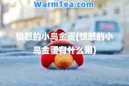 愤怒的小鸟金蛋(愤怒的小鸟金蛋有什么用)