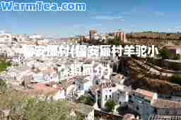 福安廉村(福安廉村羊驼小镇简介)