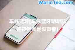 车载蓝牙(车载蓝牙明明已连接但就是没声音)