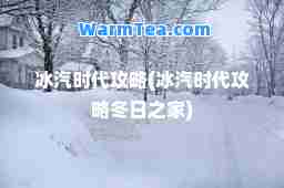 冰汽时代攻略(冰汽时代攻略冬日之家)